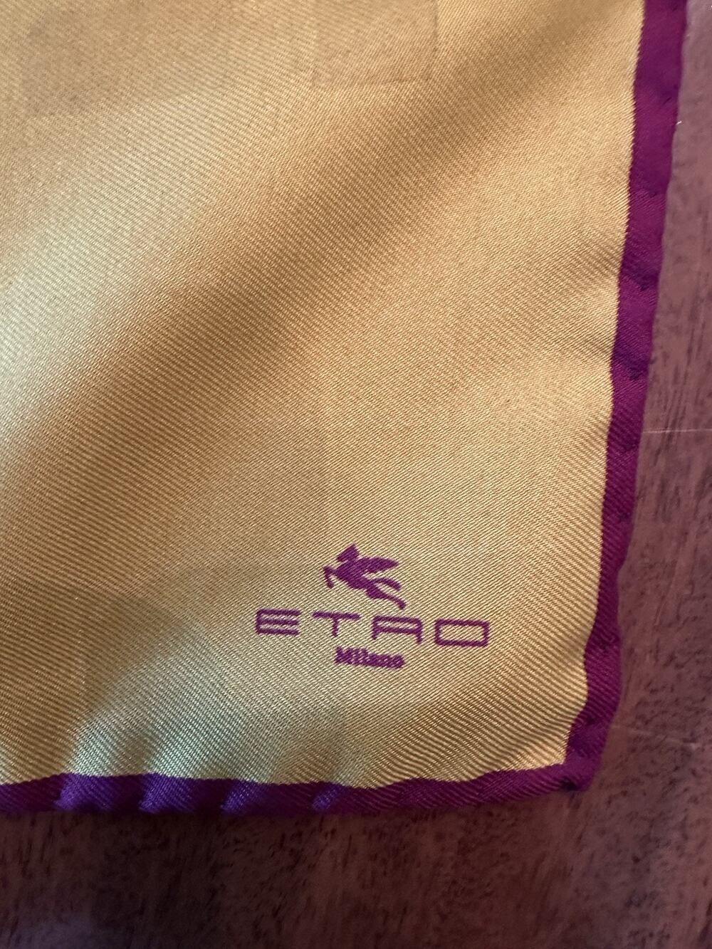 Vintage Etro Pocket Square Silk